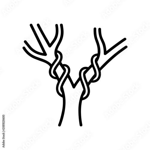 Vászonkép Black line art of twisted branches.