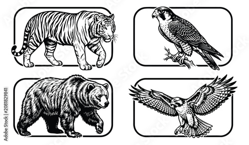 Photos Vintage woodcut animal illustrations, set of 4 wild predator vectors featuring t