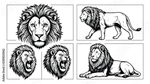 Canvas Print Vintage lion head and full body vector set, hand drawn majestic lion illustratio