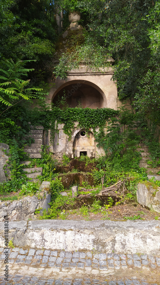 Obraz premium Enchanting ancient stone fountain overgrown with lush green ivy and foliage in a hidden garden, evoking mystery and historical charm. Perfect for travel, mystery, or fantasy concepts.