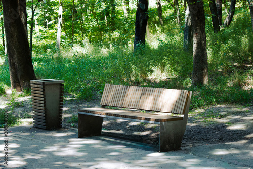 Modern wooden bench and trash can in a sunny summer park