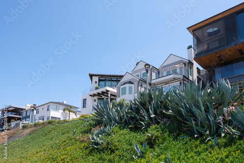 Quadro su tela Luxury beachfront houses and modern residential architecture along The Strand, framed by green plants and agaves under a blue sky in Manhattan Beach, Los Angeles, California