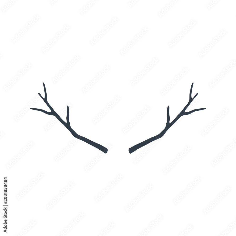 Fototapeta premium A pair of dark grey deer antlers isolated on a plain white background, rustic, woodland, or hunting themed projects