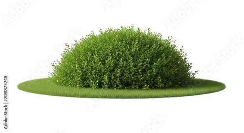 Lush green rounded bush with manicured grass circle during bright daylight isolated on transparent background