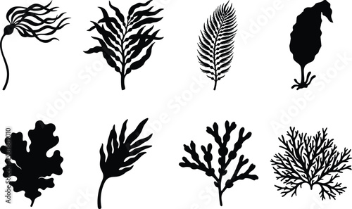 Marine Seaweed and Coral Silhouette Vector Collection Isolated on White Background