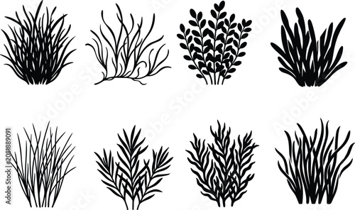 Marine Seaweed Silhouette Vector Collection with Ocean Plant Elements Isolated on White Background
