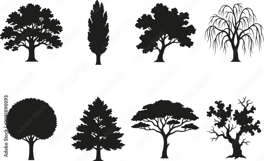 Fototapeta premium Tree Silhouette Vector Collection with Diverse Forest Trees Isolated on White Background