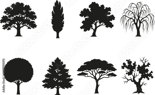 Tree Silhouette Vector Collection with Diverse Forest Trees Isolated on White Background