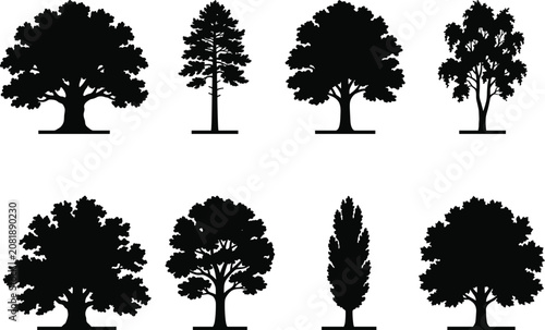 Tree Silhouette Vector Set with Deciduous and Evergreen Trees Isolated on White Background