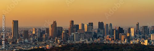 Panoramic sunset view of Shinjuku Gyoen National Garden and Shinjuku skyscraper skyline.