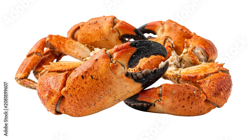 Fotografie King Crab Claws With Textured Shells On Transparent Background