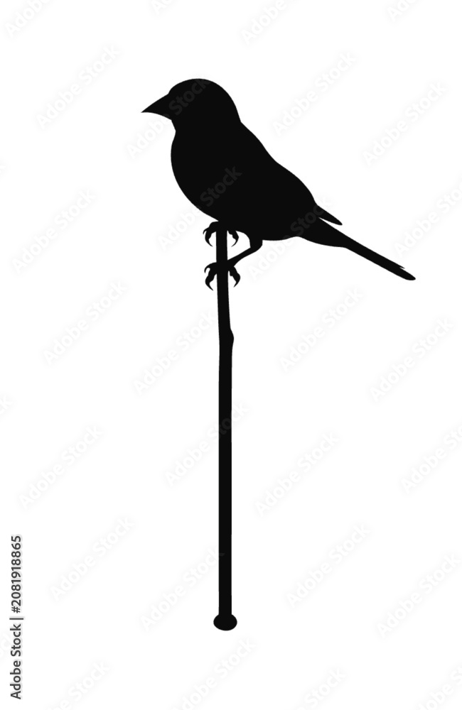 Fototapeta premium silhouette of a bird sitting on stick