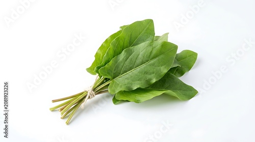 Fresh vibrant green broccoli floret on white background.