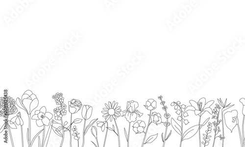 Flower Line Art Border