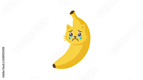 Fotografie Sad Cat Face Banana Illustration