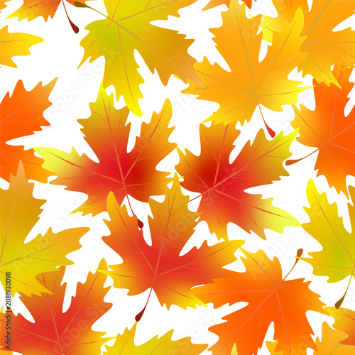 Seamless endless maple leaves pattern on isolated background  Autumn and bright background. Cozy seasonal fall vector design for wrapping paper textile