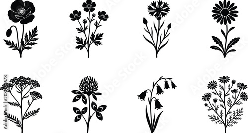 Foto Flower Silhouette Vector Set Featuring Poppy, Buttercup, Carnation, Yarrow, Clov