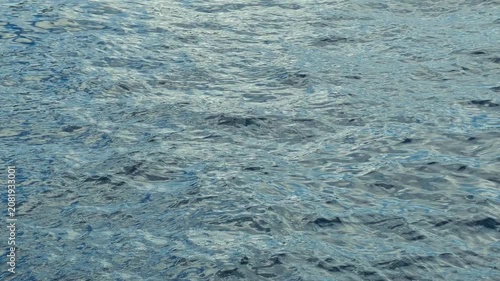 A vast blue ocean under clear skies, gentle waves rolling across the frame, capturing a serene and dynamic natural scene