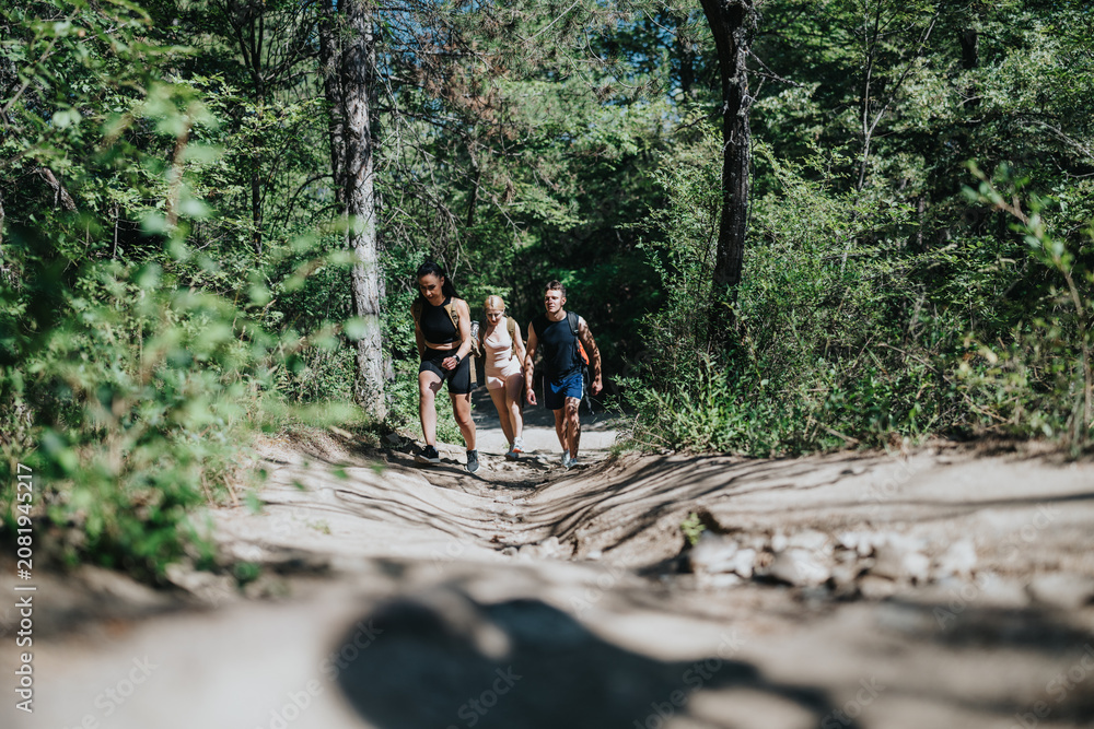 Obraz premium Three friends hike up a sandy forest trail together. The group walks through green woodland on a sunny day for exercise.