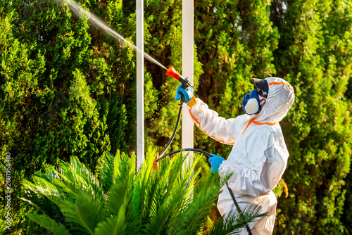 Exterminator spraying insecticide on plants