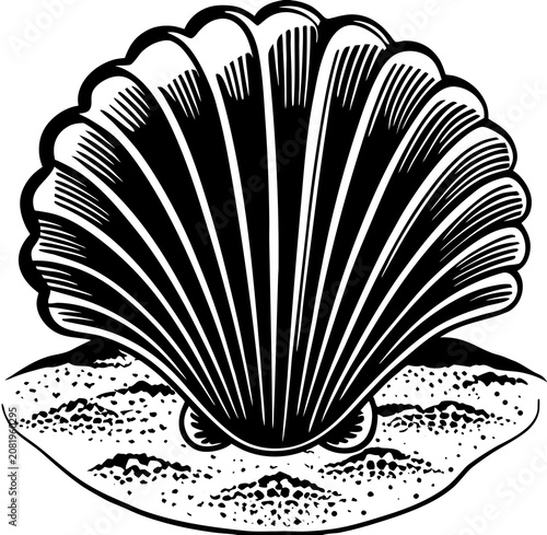 vector illustration of an abstract sea shell