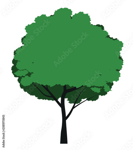 A tree drawn by hand. Green leaves on branches and curved trunk. Vector Illustration.