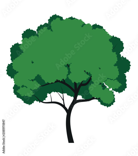 A tree drawn by hand. Green leaves on branches and curved trunk. Vector Illustration.