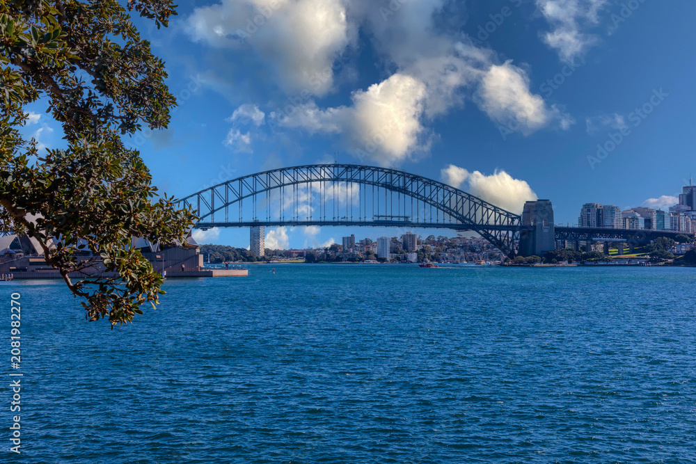 Fototapeta premium View of Sydney Harbour Bridge and Opera House viewed from Botanical Gardens on the harbour foreshore in Sydney NSW Australia