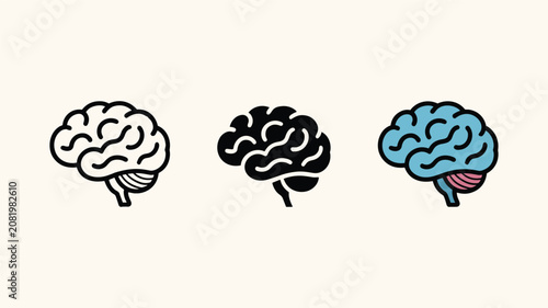 Canvastavla Human brain anatomy icon set in three distinct styles.