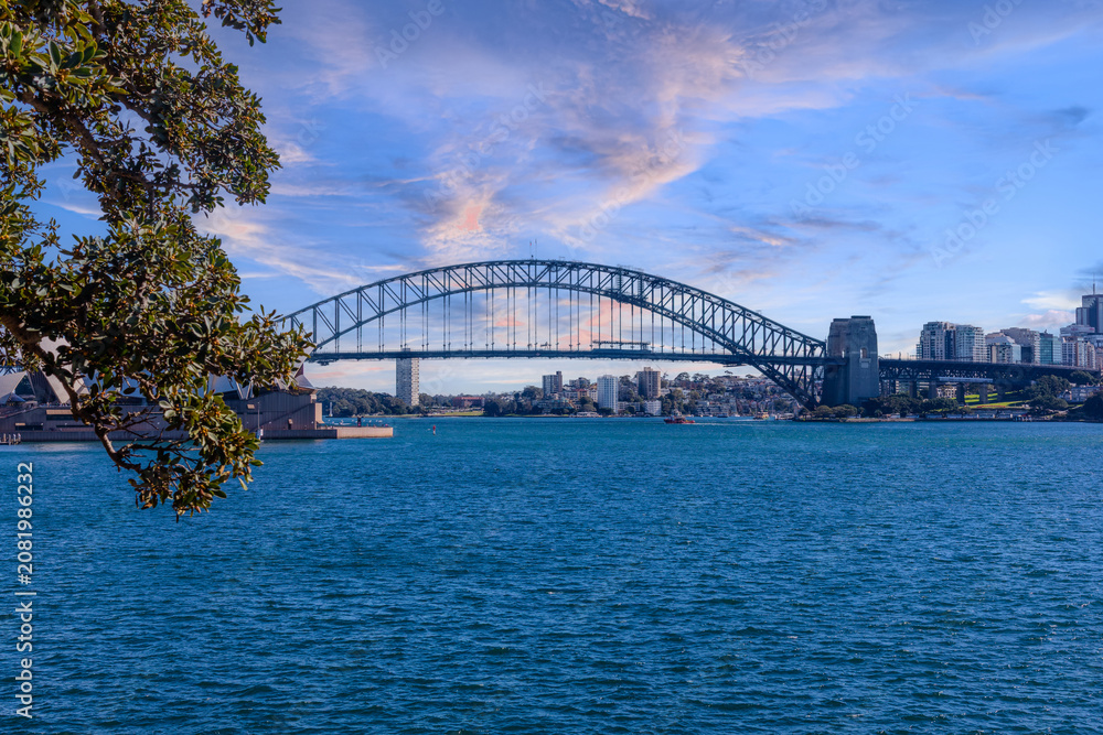Fototapeta premium View of Sydney Harbour Bridge and Opera House viewed from Botanical Gardens on the harbour foreshore in Sydney NSW Australia