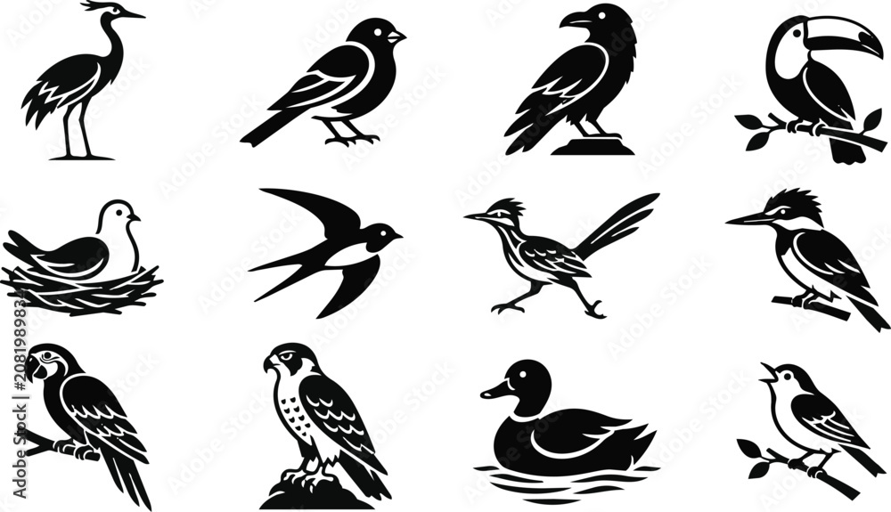 Fototapeta premium Minimalist Black White Bird Icons Collection Diverse Species Set