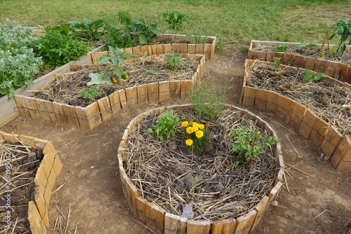 Permaculture garden beds system featuring organic vegetables, herbs, and flowers growing with natural mulch