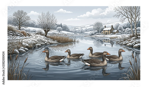 Greylag Geese on Winter Lake Wildlife Vector