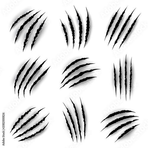 claws vector collections