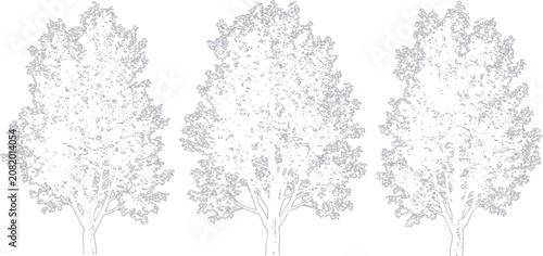 Three grey line art tree icons representing nature and forest vegetation in a simple minimalist vector design style