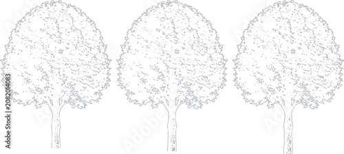 Three simple hand drawn tree sketches in black outline style