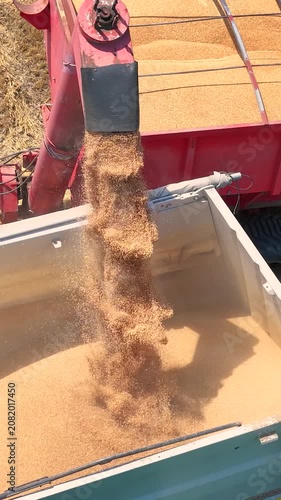 Aerial drone shot of a combine harvester transferring freshly harvested wheat to a tractor-trailer for transport to a grain silo, slow motion