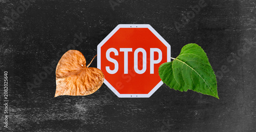 Stop Schild vor Dürrem  und Grünem Blatt