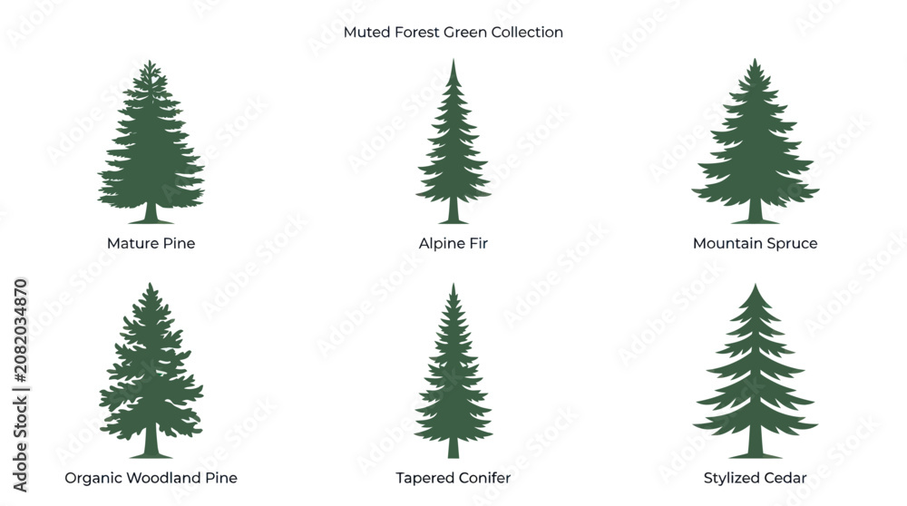 Obraz premium Assorted conifer tree silhouettes collection