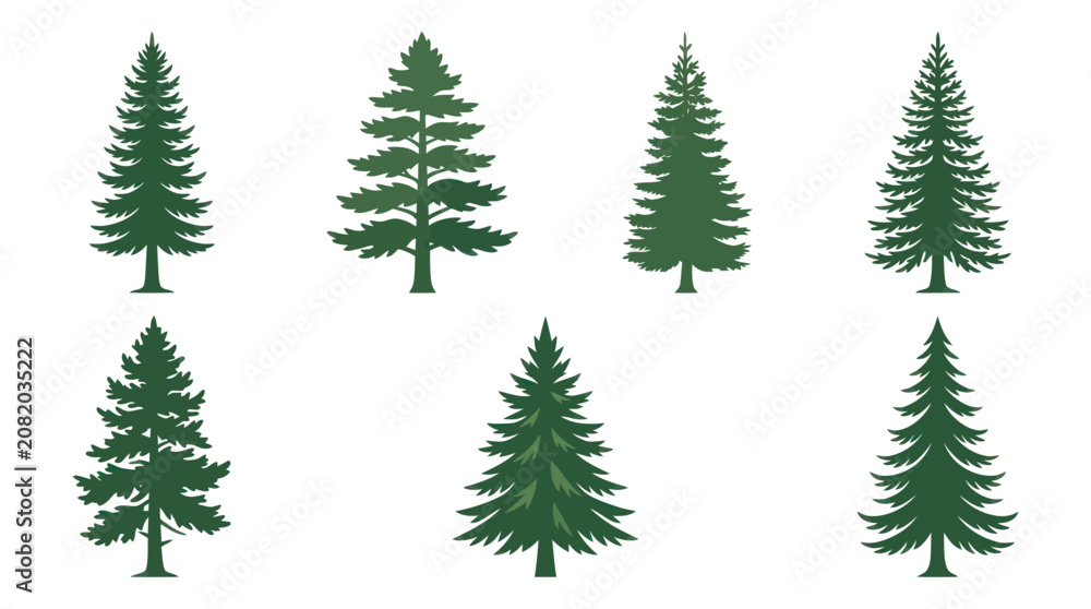 Obraz premium Assorted evergreen tree illustrations