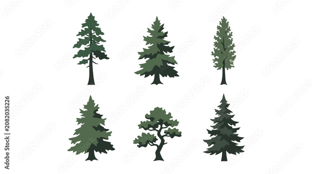 Obraz premium Assorted evergreen trees vector set