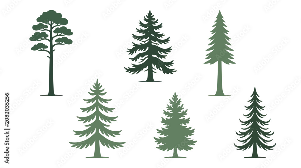 Obraz premium Assorted pine and fir tree silhouettes