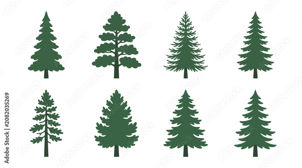 Obraz premium Assorted evergreen tree illustrations