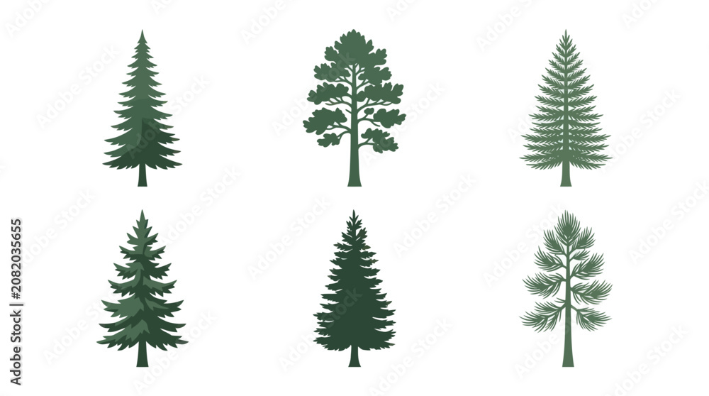 Obraz premium Assorted evergreen tree silhouettes