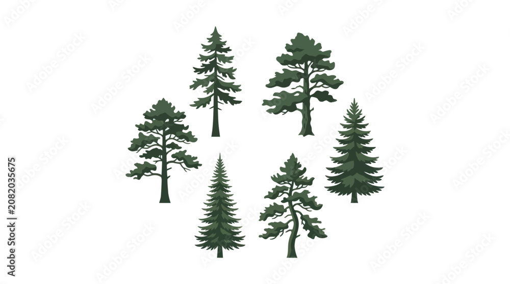 Obraz premium Assortment of evergreen trees