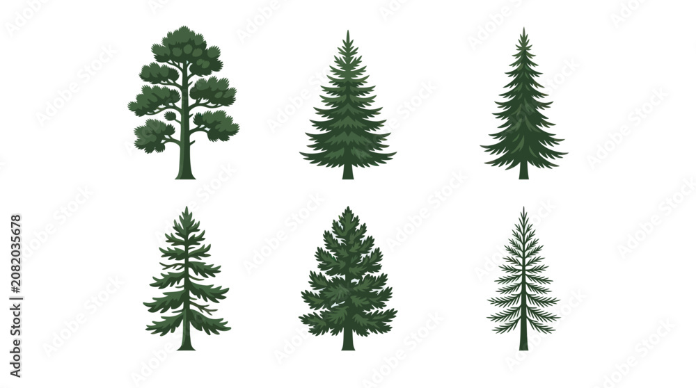Obraz premium Assortment of evergreen trees