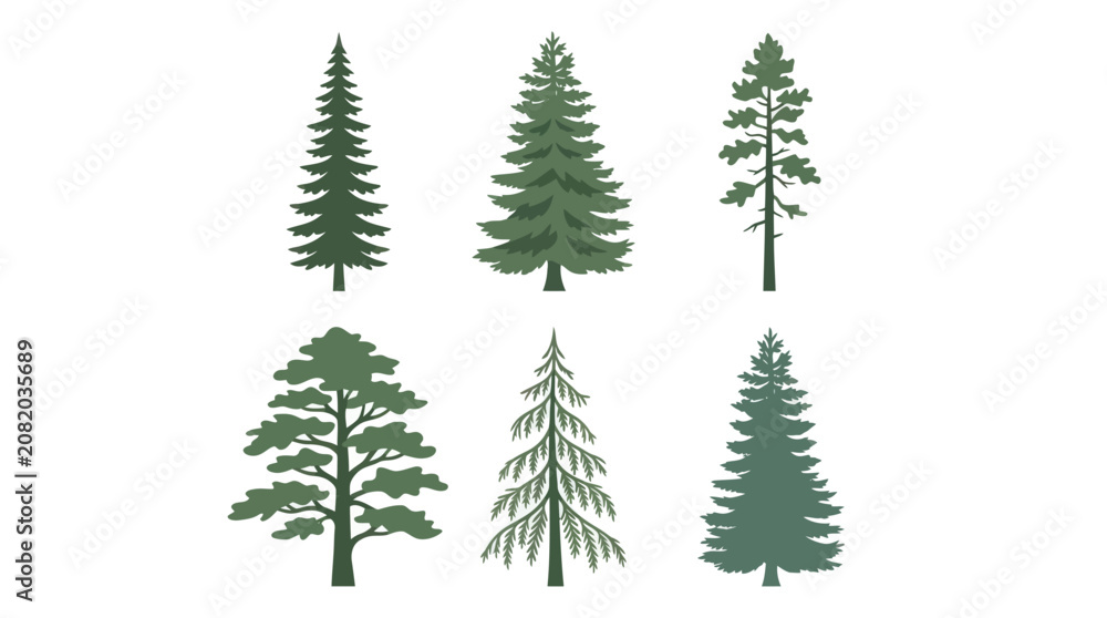 Obraz premium Assorted evergreen tree silhouettes
