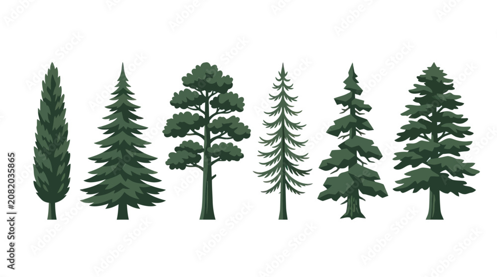 Obraz premium Assortment of evergreen trees