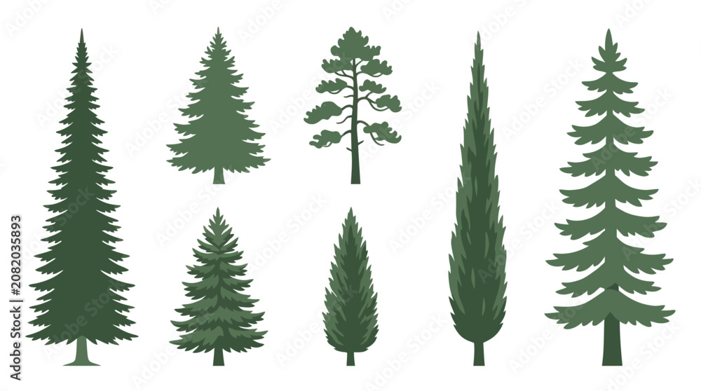 Obraz premium Assortment of evergreen trees