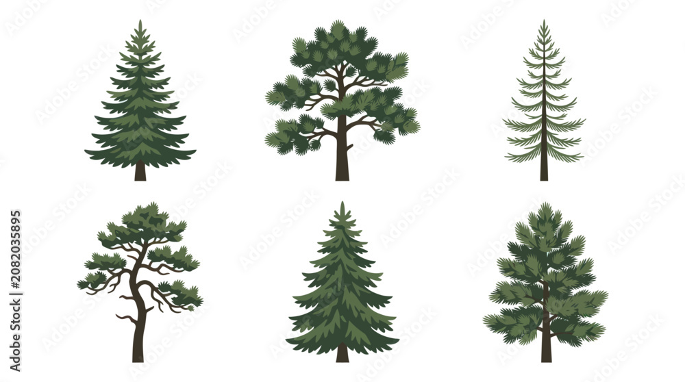 Obraz premium Collection of evergreen coniferous trees